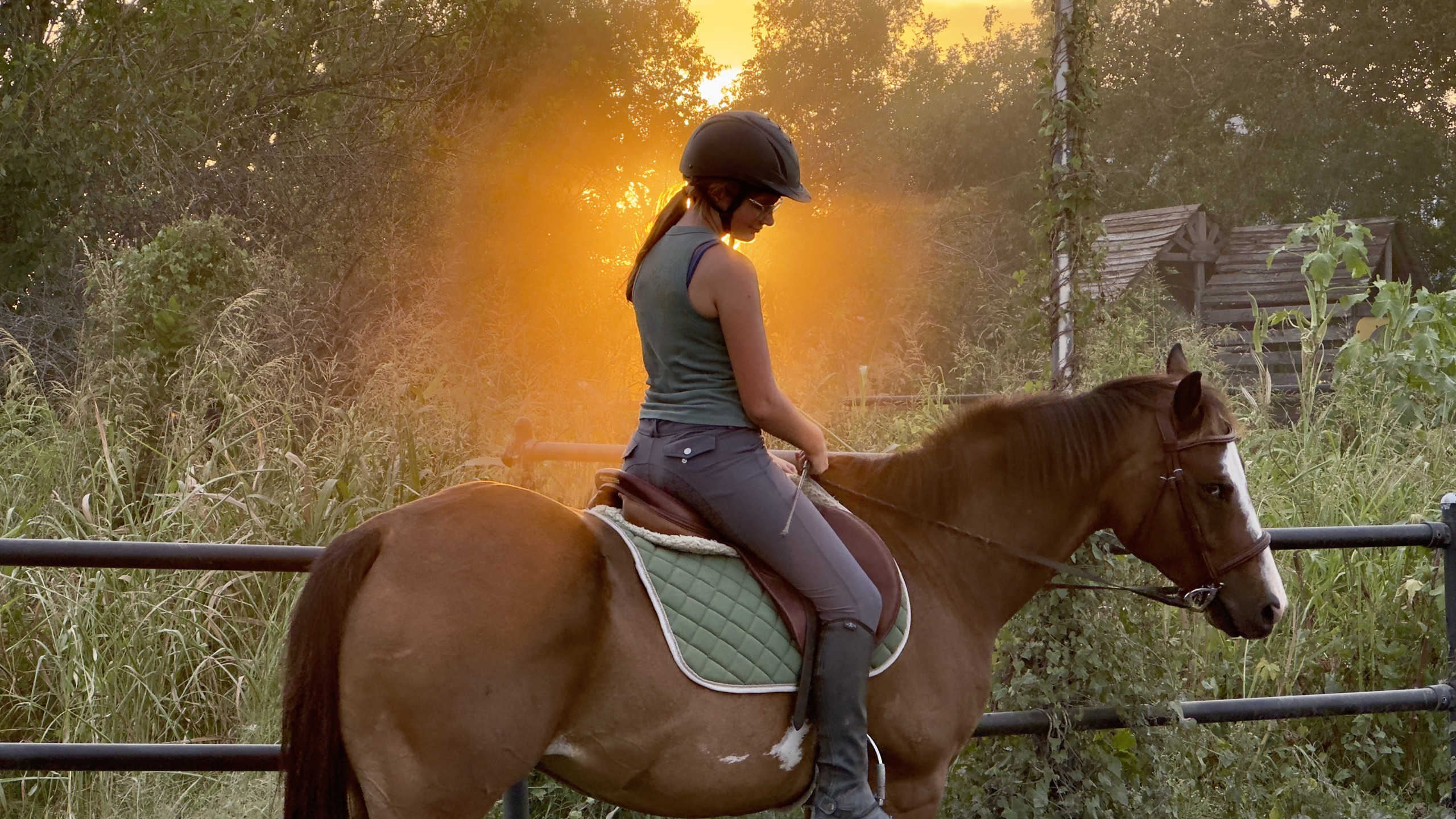 Audrey Lenz riding at sunset