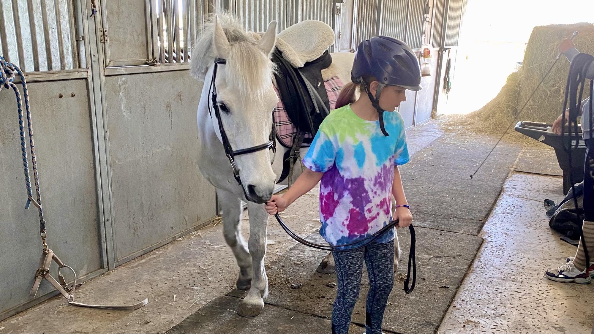Audrey leading a white pony in the barn aisle, April 2021